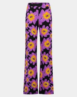 Josh Palazzo | Purple^STIEGLITZ Best Sale