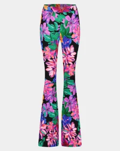 Neveah Flared Broek | Pink^STIEGLITZ Hot